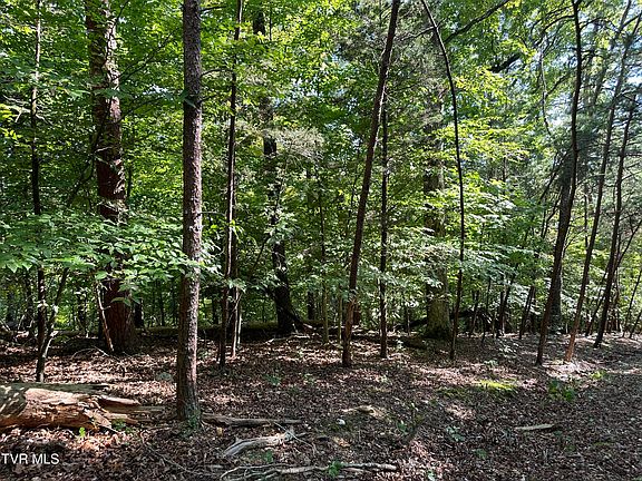5th image of LOT 1239 Rustic Dr