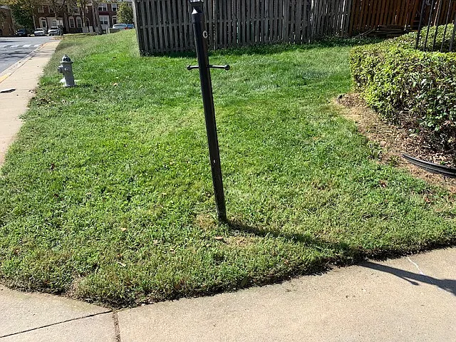 3 bed, 2.5 bath, $3,200 — Photo 3