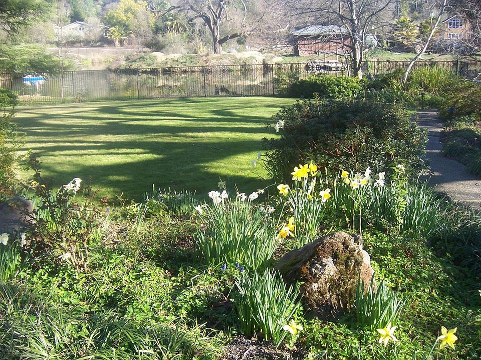 Back yard view