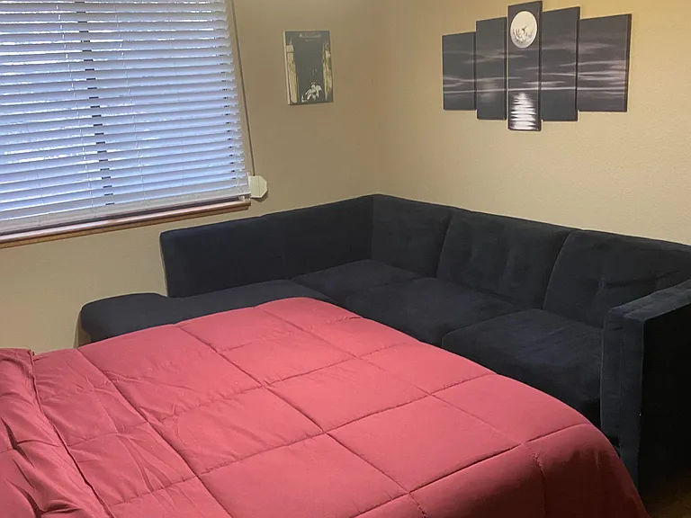 Furnished bedroom sofa