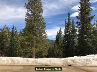 134 Bauxite Ln, Alma, CO 80420