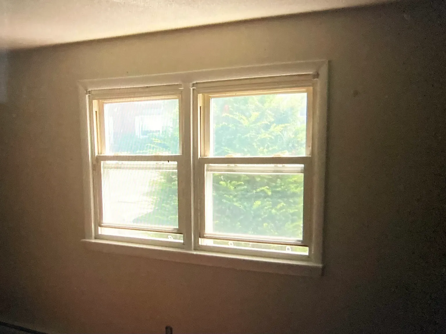 2 bed, 1.0 bath, 1000 sqft, $1,695 — Photo 3