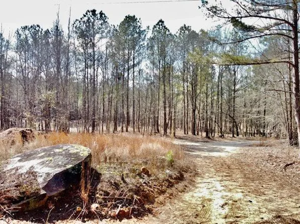 65 Glade Rd, Carlton, GA 30627