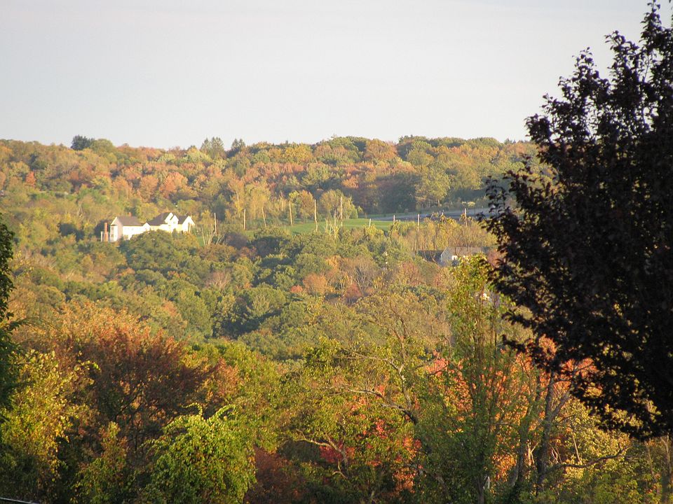 2nd image of 71 Potter Hill Rd