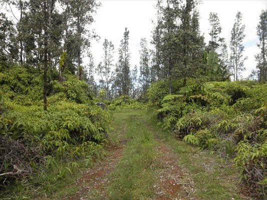 2nd image of Road 5 Lot 3951