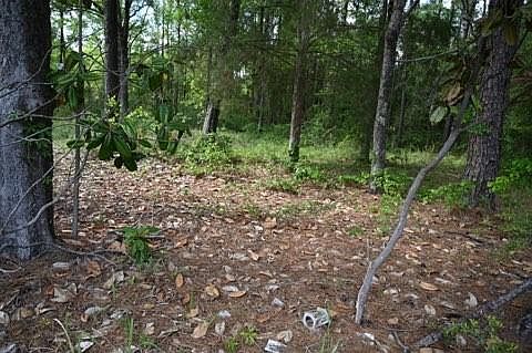 2nd image of 9176 Chunchula Georgetown Rd Lot 1