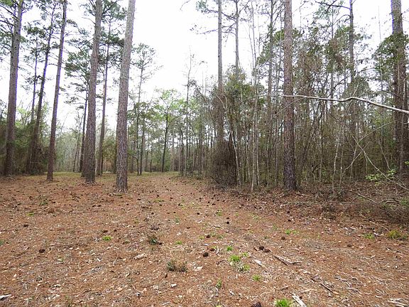 3rd image of 576 Cox Rd