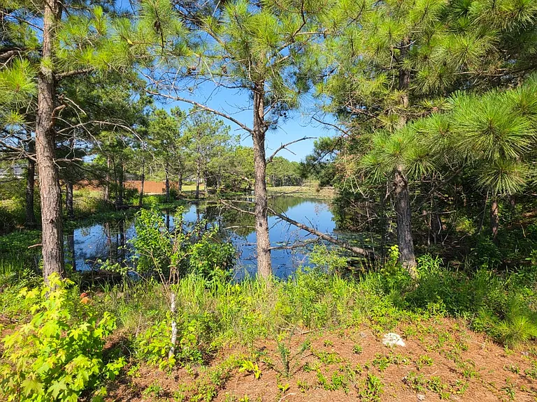 588 Brushwood Dr — Photo 32