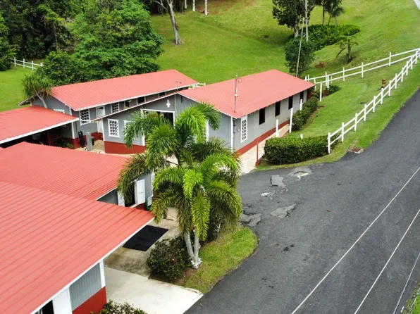 173 Bo Sonadora, Aguas Buenas, PR 00703