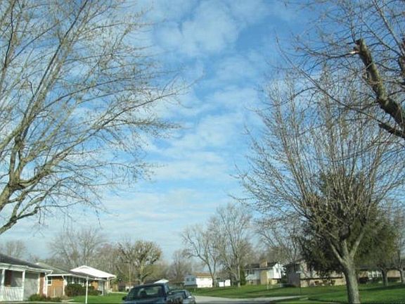 4th image of 4516 Sydenham Dr
