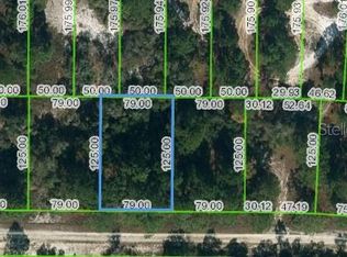 428 Morningside Dr #92, Lake Placid, FL 33852