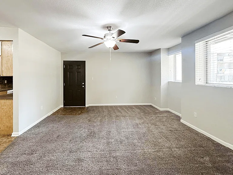 Natural Light Floods the Space