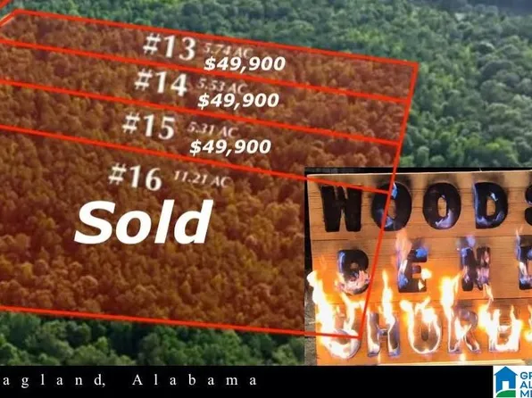 LOT 14 Wester Dr Lot 14, Ragland, AL 35131