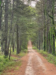 (Undisclosed Address), Bonnerdale, AR, 71933