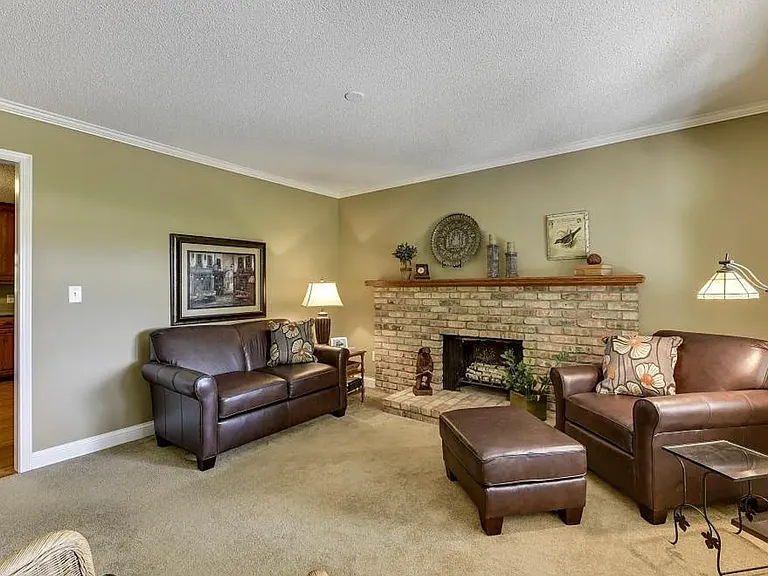 Den with fireplace