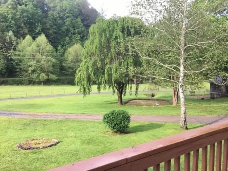 Front yard