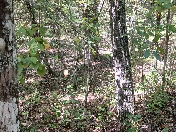 Lot 23 Meadow Lane, Theodosia, MO 65761