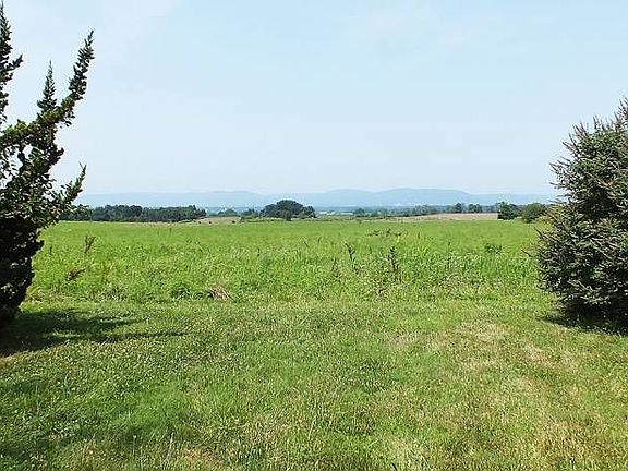 View From The Rear