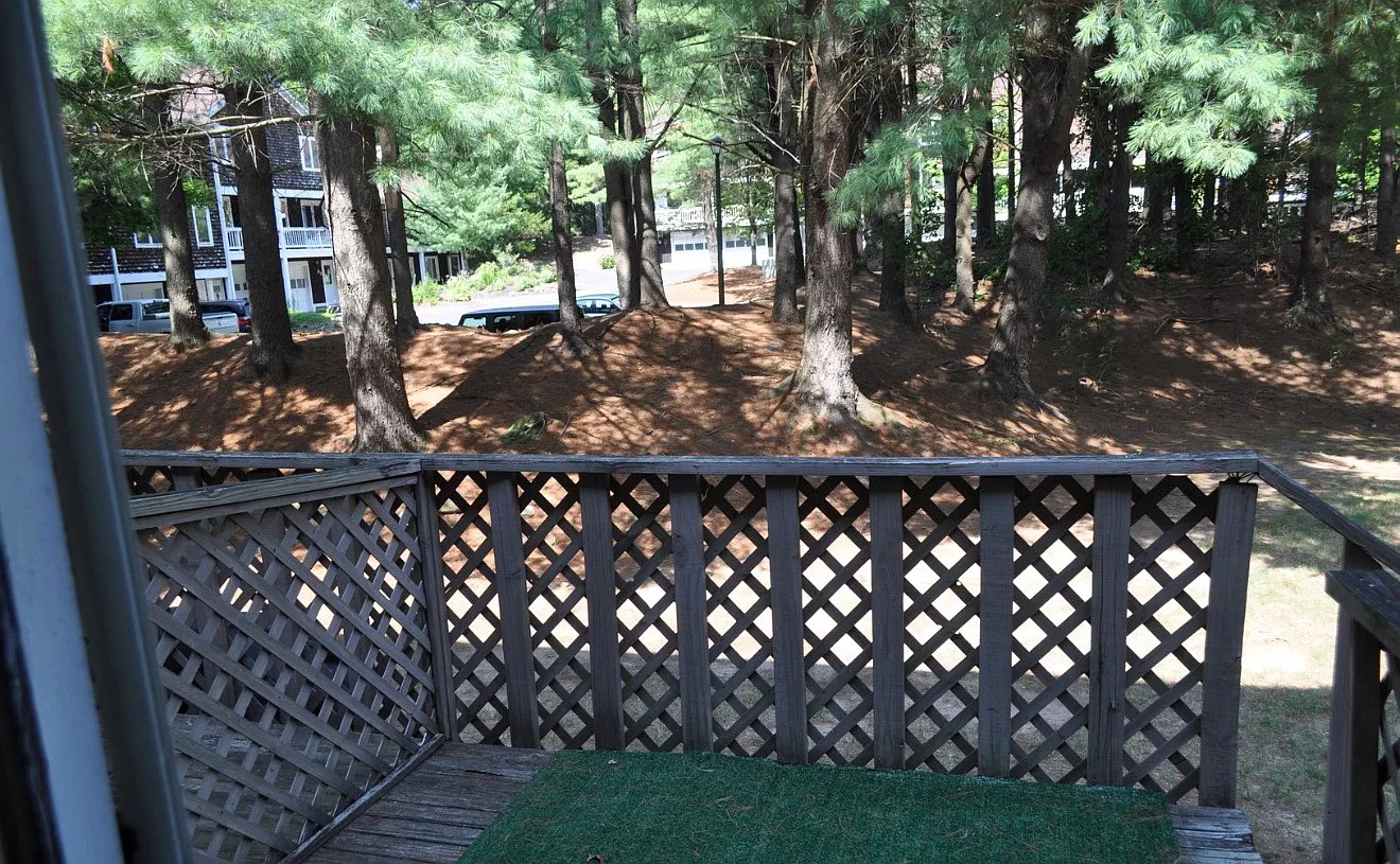 2 bed, 2.5 bath, 1236 sqft, $2,600 — Photo 2