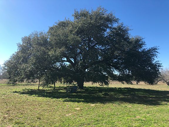 4th image of 157 County Road 787