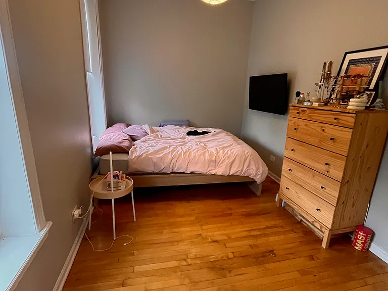 3227 S Carpenter St #3F — Photo 8