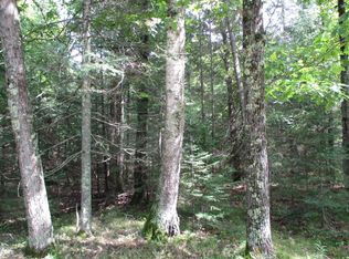 0 S Shore Dr LOT S-2, Pickerel, WI 54465