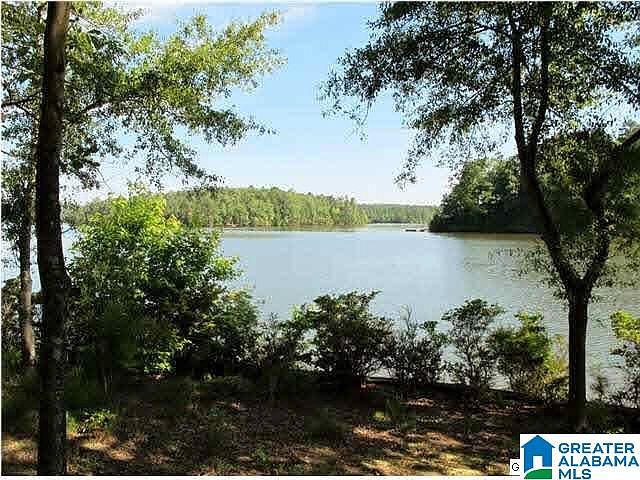 1st image of LOT 6 Wedowee Creek View Dr #6