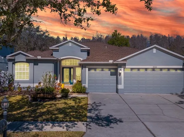 10660 Grand Riviere Dr, Tampa, FL 33647