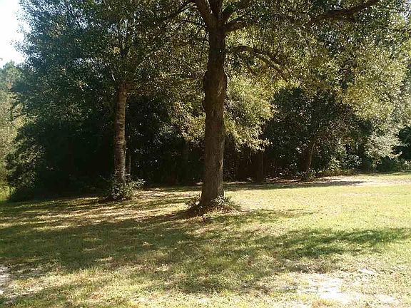 4th image of 1419 Oak Bend Trl