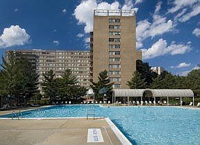 Nice swimming pool 