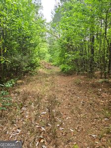 0 S Us Highway 1, Wadley, GA, 30477