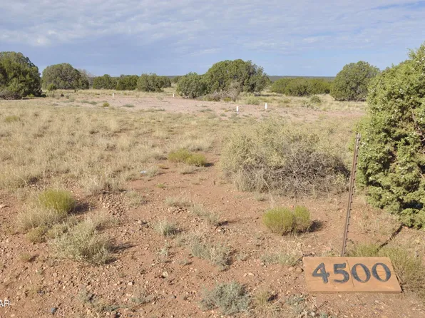 4500 Mountain View Rd, Snowflake, AZ 85937