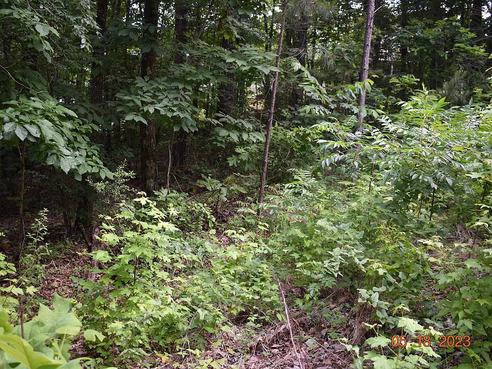 2nd image of 6343 Walnut Dr