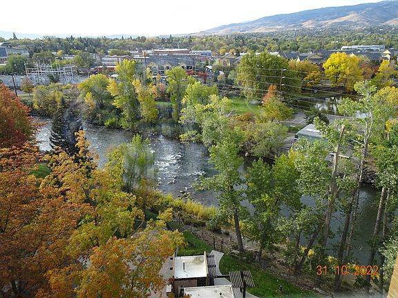 View from terrace windows.