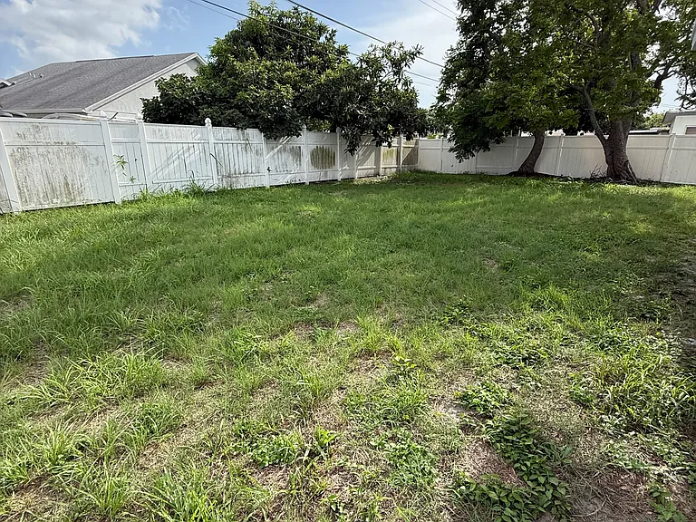 Back yard with 2 large shade trees