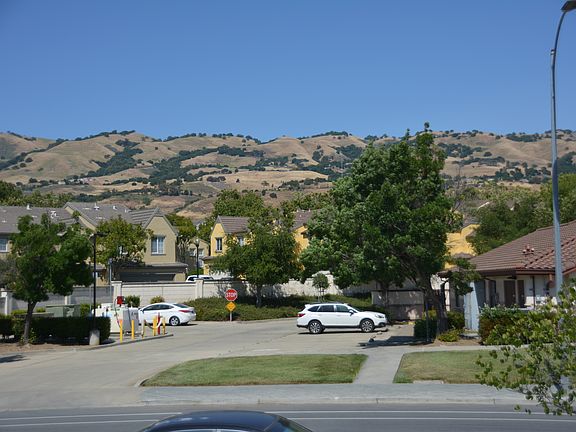 view from the dining room
