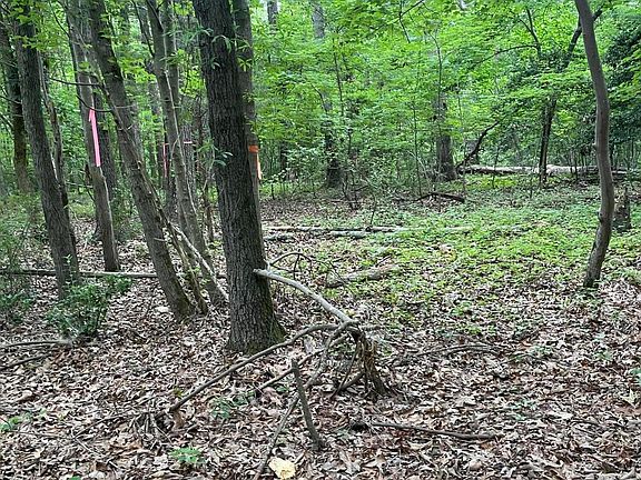 5th image of 0 Pleasant Hill Church Rd #3