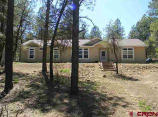 562 Great West Ave, Pagosa Springs, CO 81147