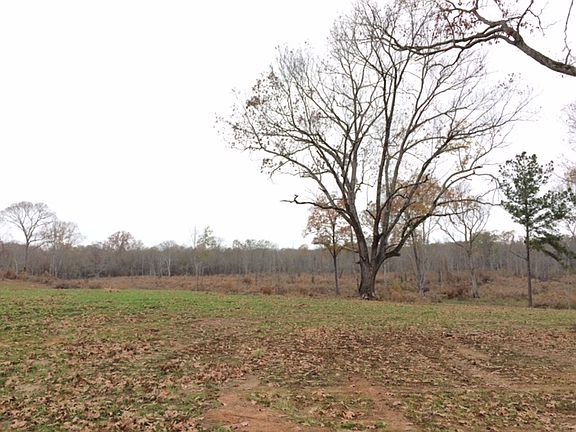 5th image of 267 Show Horse Ln