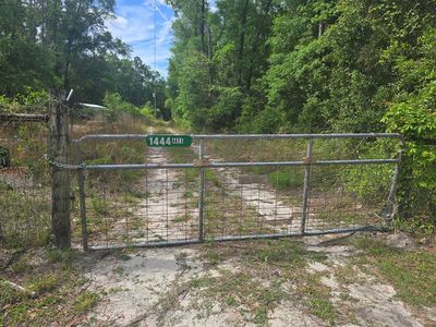 1444 NE 582nd Ave, Old Town, FL, 32680