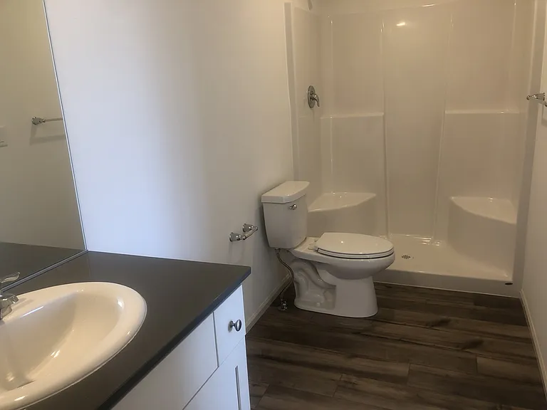 Primary suite walk in shower