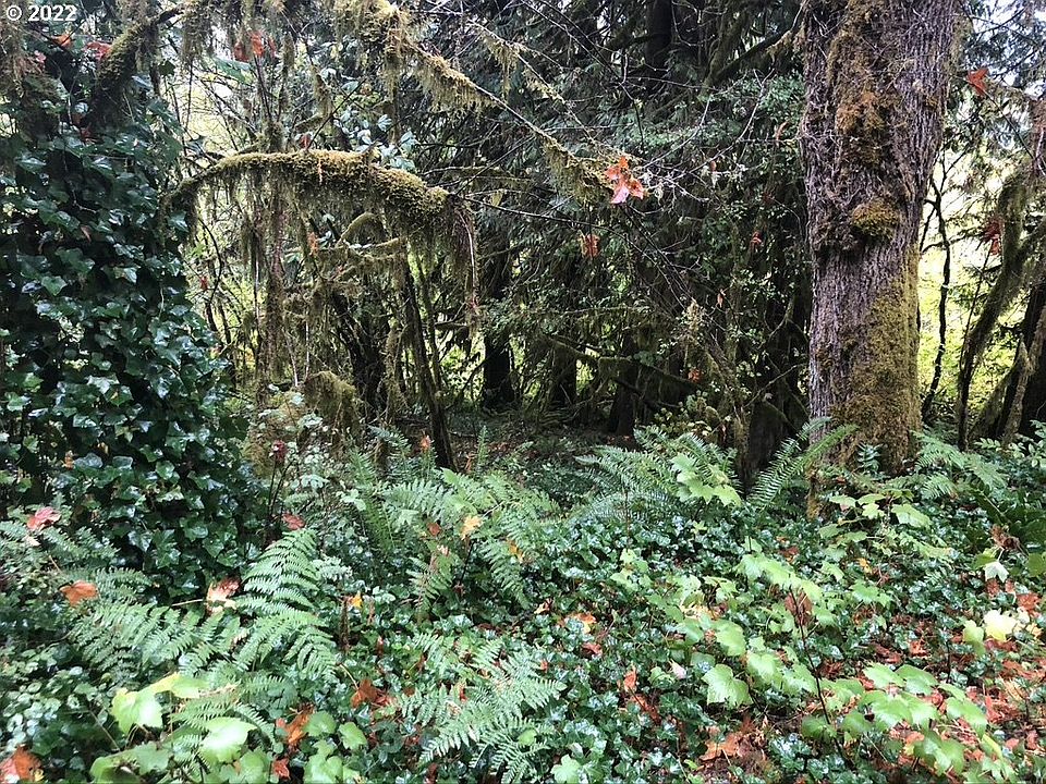 70985 E Jennie Ln, Rhododendron, OR 97049 MLS 22614793 Zillow