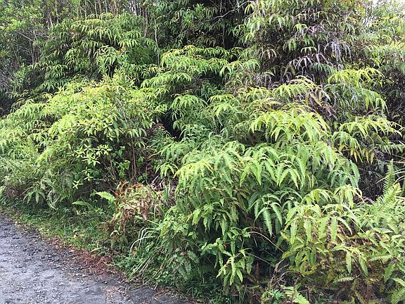5th image of 16-1557 Road 2 Lot 2898