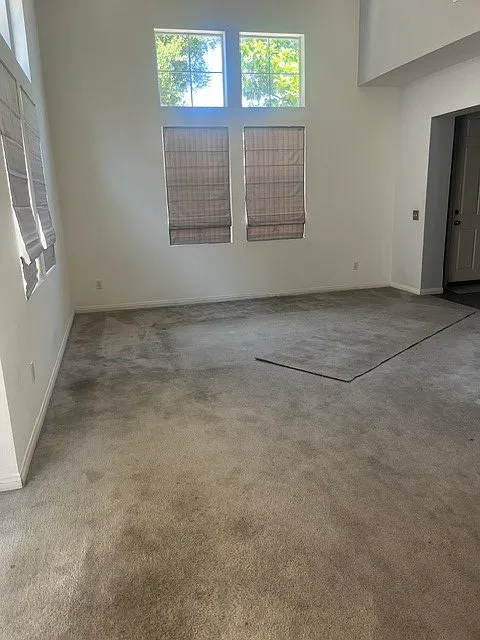 4507 Carmen Ct