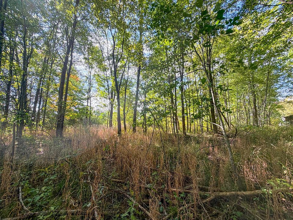 1st image of 0 Timber Run