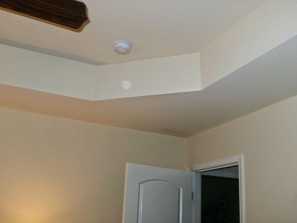 Trey Ceilings in Master