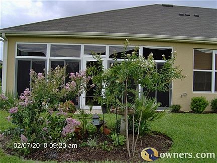 view of back yard
