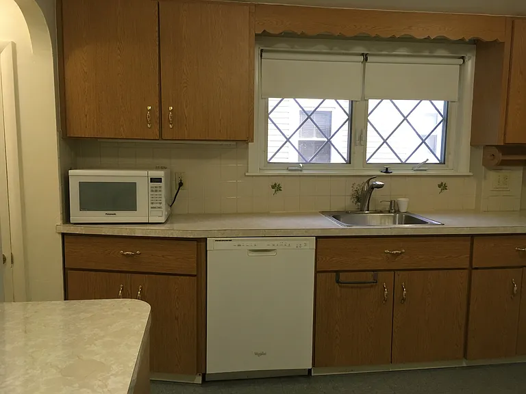Kitchen window
