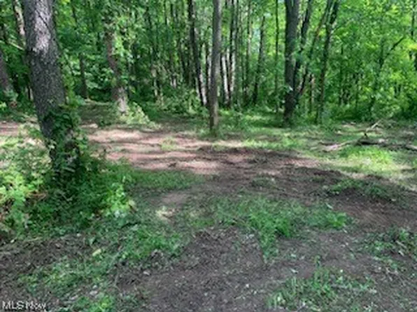 2486 Reimer Rd, Wadsworth, OH 44281