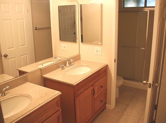 Dual sinks in master with walk-in shower